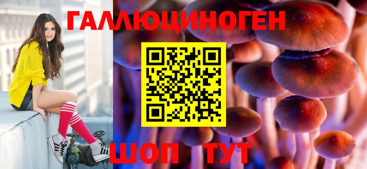Галлюциногенные грибы GOLDEN TEACHER Радужный